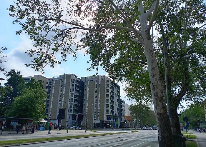 Apartament Vera's Place *